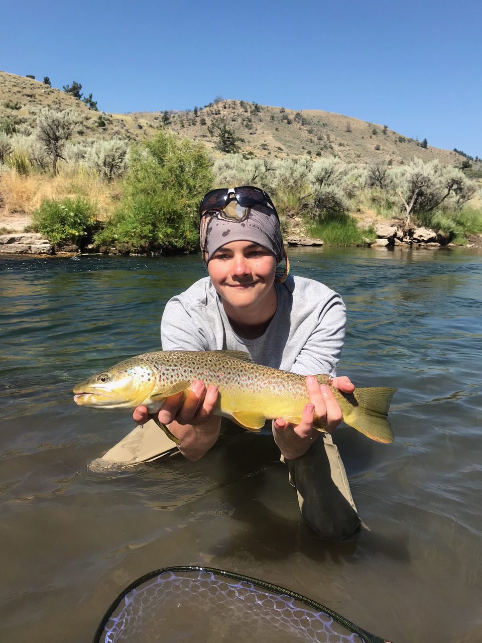 Yellowstone Expedition Upper Yellowstone Update | Lillard Fly Fishing ...